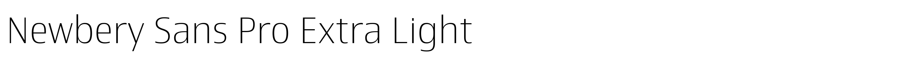 Newbery Sans Pro Extra Light